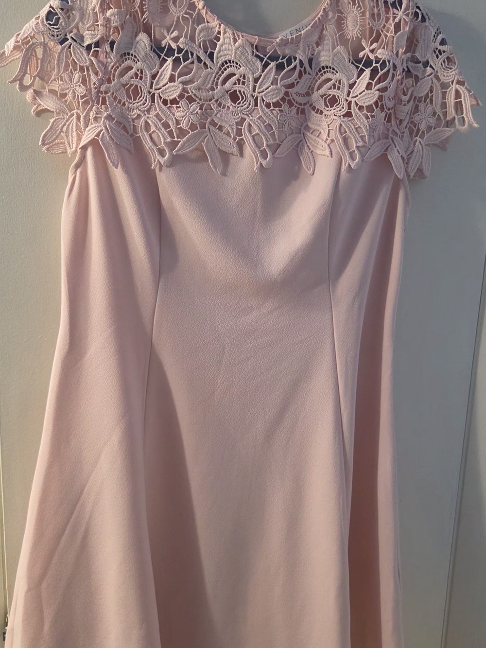 Venus Lace Yoke A-Line Dress in Light Pink - New/Never Worn